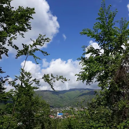 садыба над рикою * Berezovo (Carpathians)