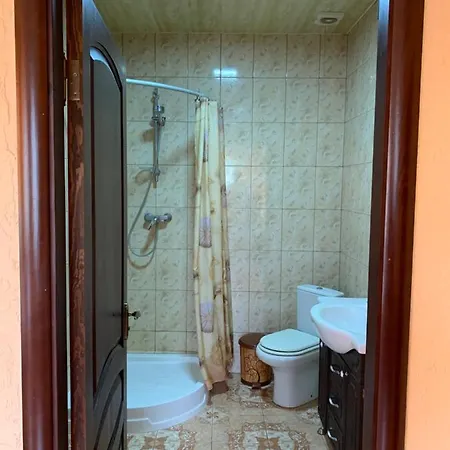 Guest house над рікою Berezovo (Carpathians)