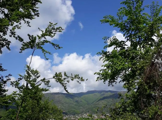 над рікою * Berezovo (Carpathians)