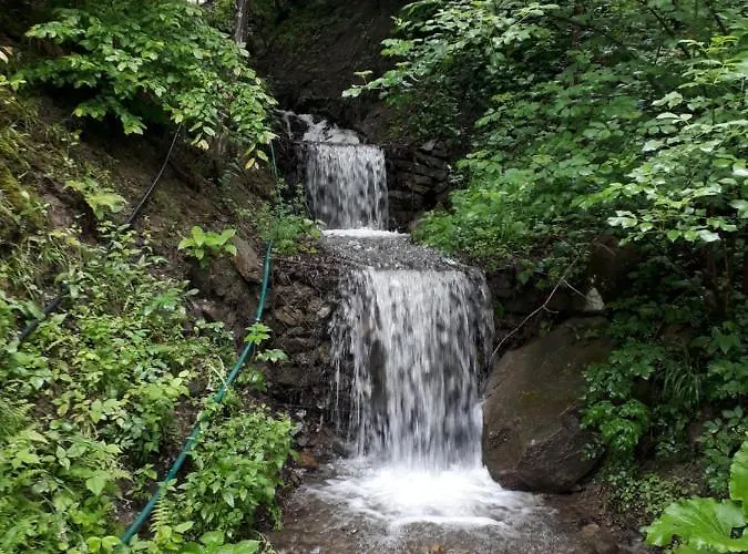 Konukevi над рікою Berezovo (Carpathians)