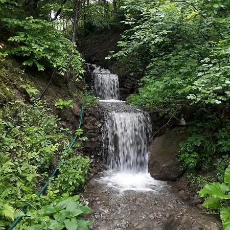 بيت ضيافة над рікою Berezovo (Carpathians)